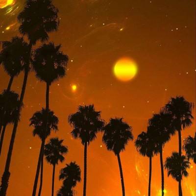 双赢彩票官方下载