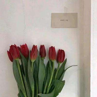 加拿大28app下载