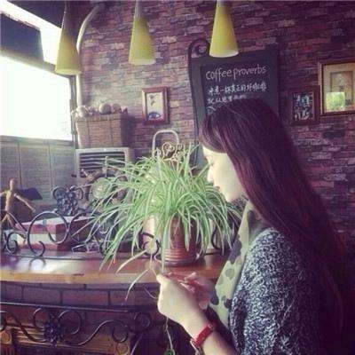 BET365正版唯一官网绿色